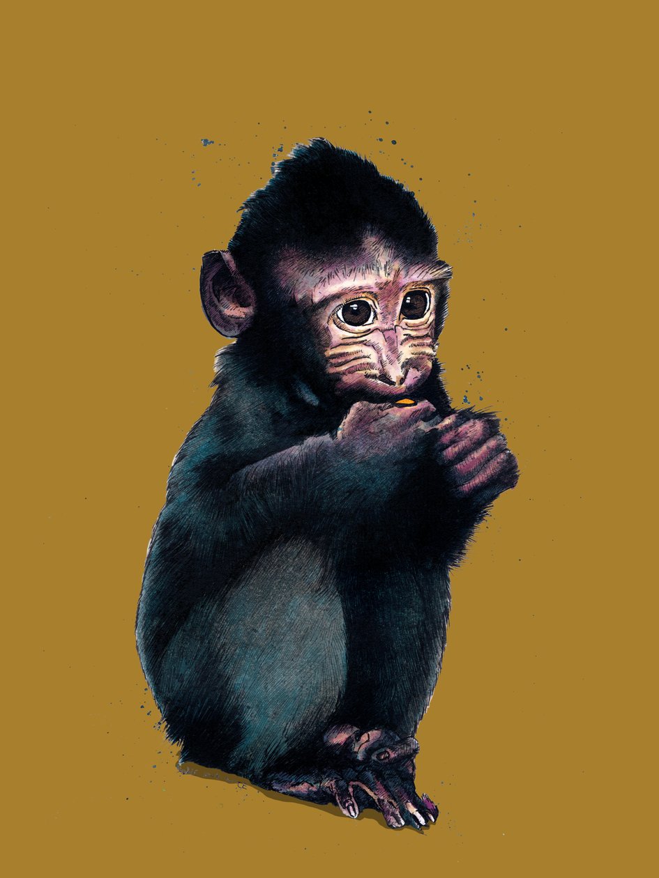 O Bebê Macaque em Amarelo Dourado, 2020 de Mike Davis