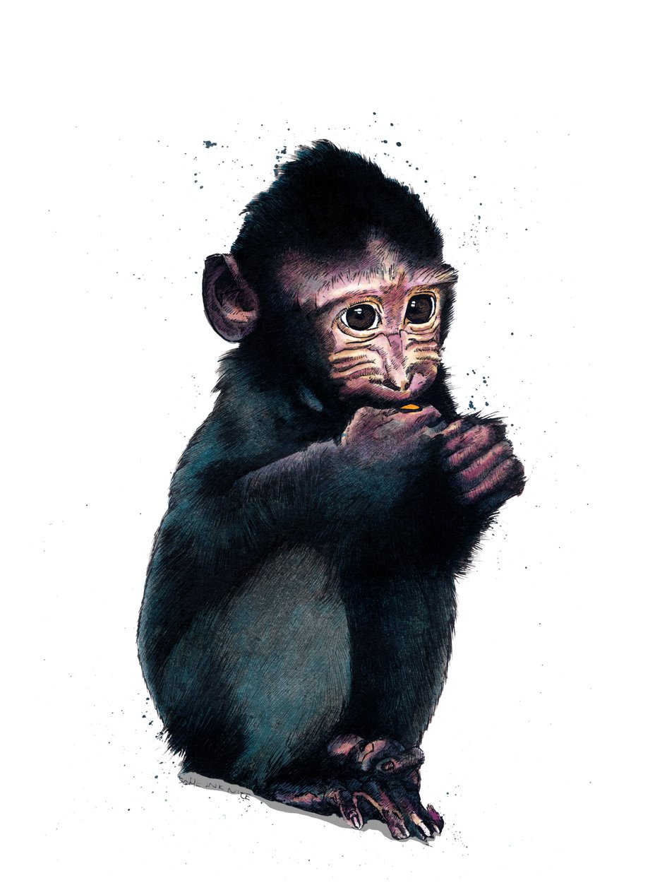 O bebê macaco em branco, 2020 de Mike Davis