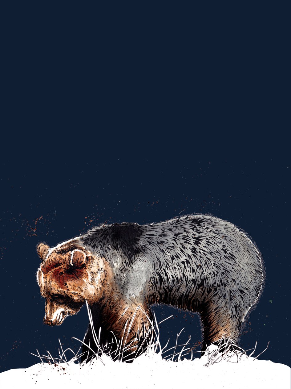 O Urso no Azul da Meia-Noite, 2020 de Mike Davis