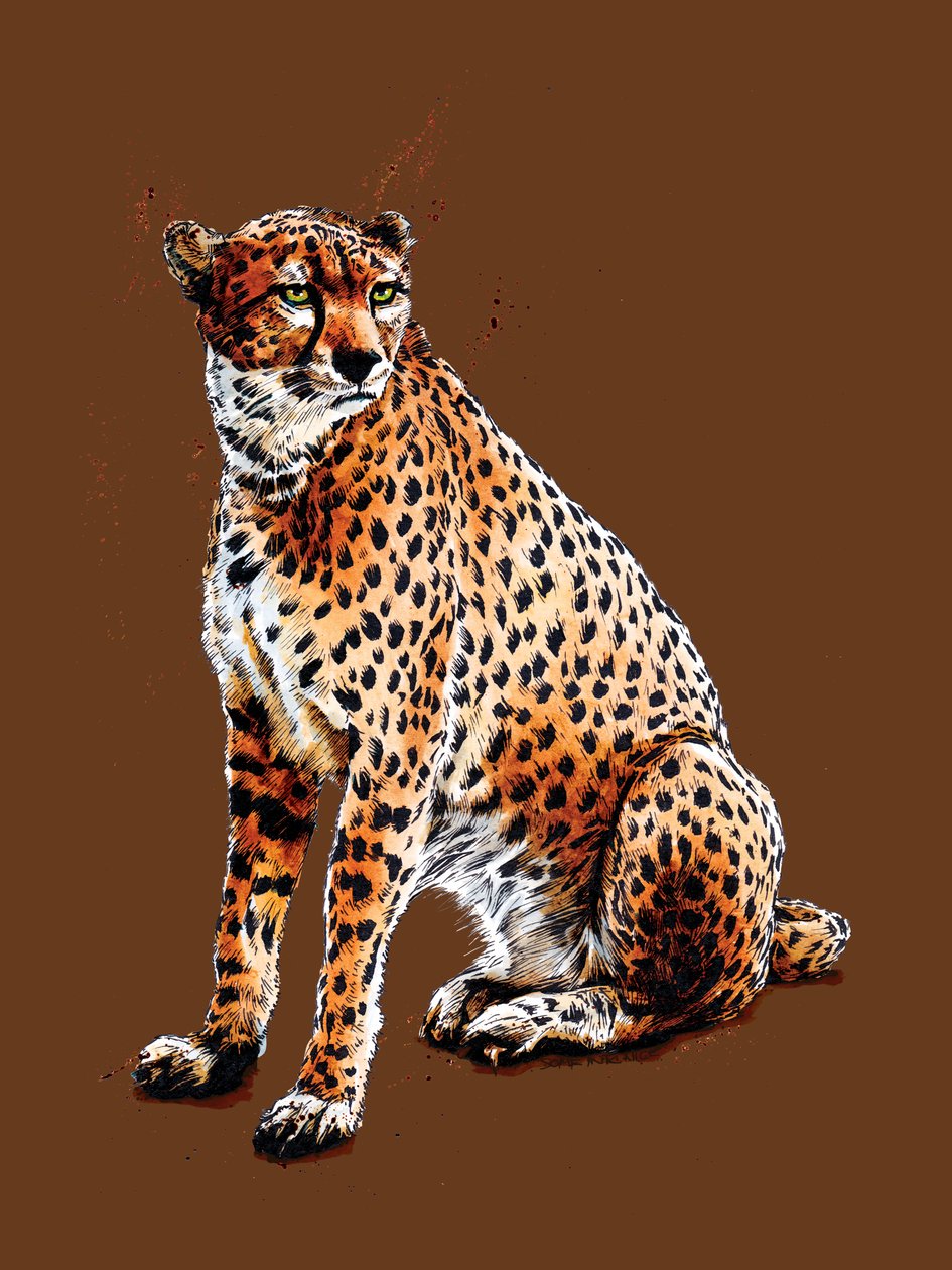 A Chita em Laranja Queimada, 2020 de Mike Davis