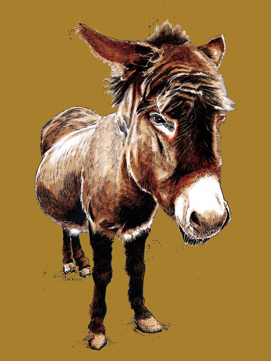 O Burrinho em Amarelo Dourado, 2020 de Mike Davis
