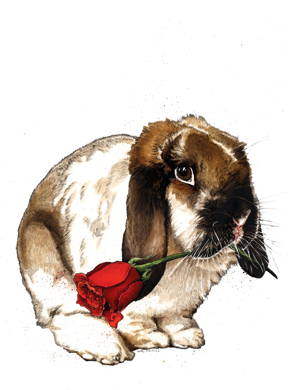 O Coelhinho do Amor em Branco, 2020 de Mike Davis