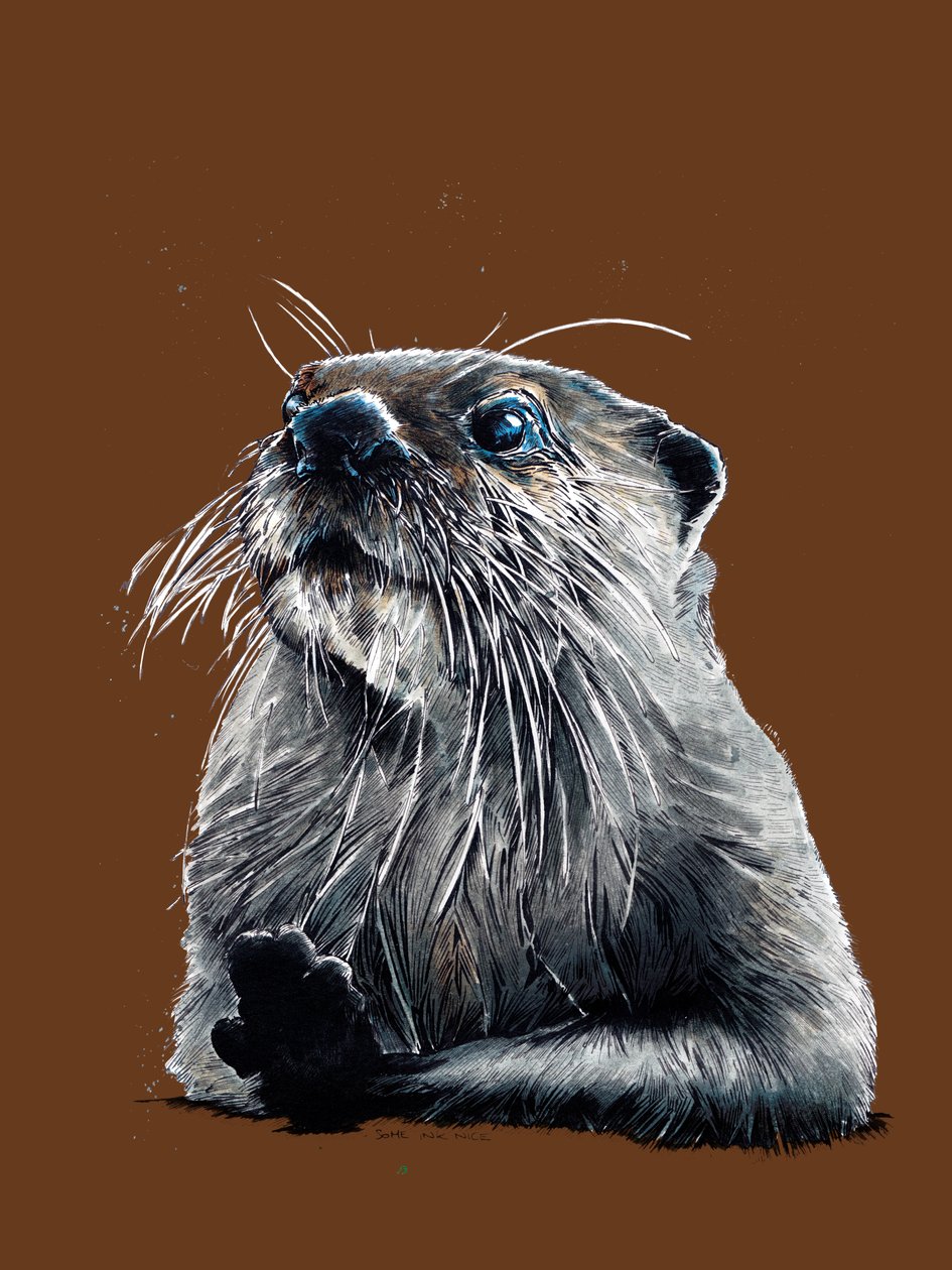 A lontra em laranja queimada, 2020 de Mike Davis
