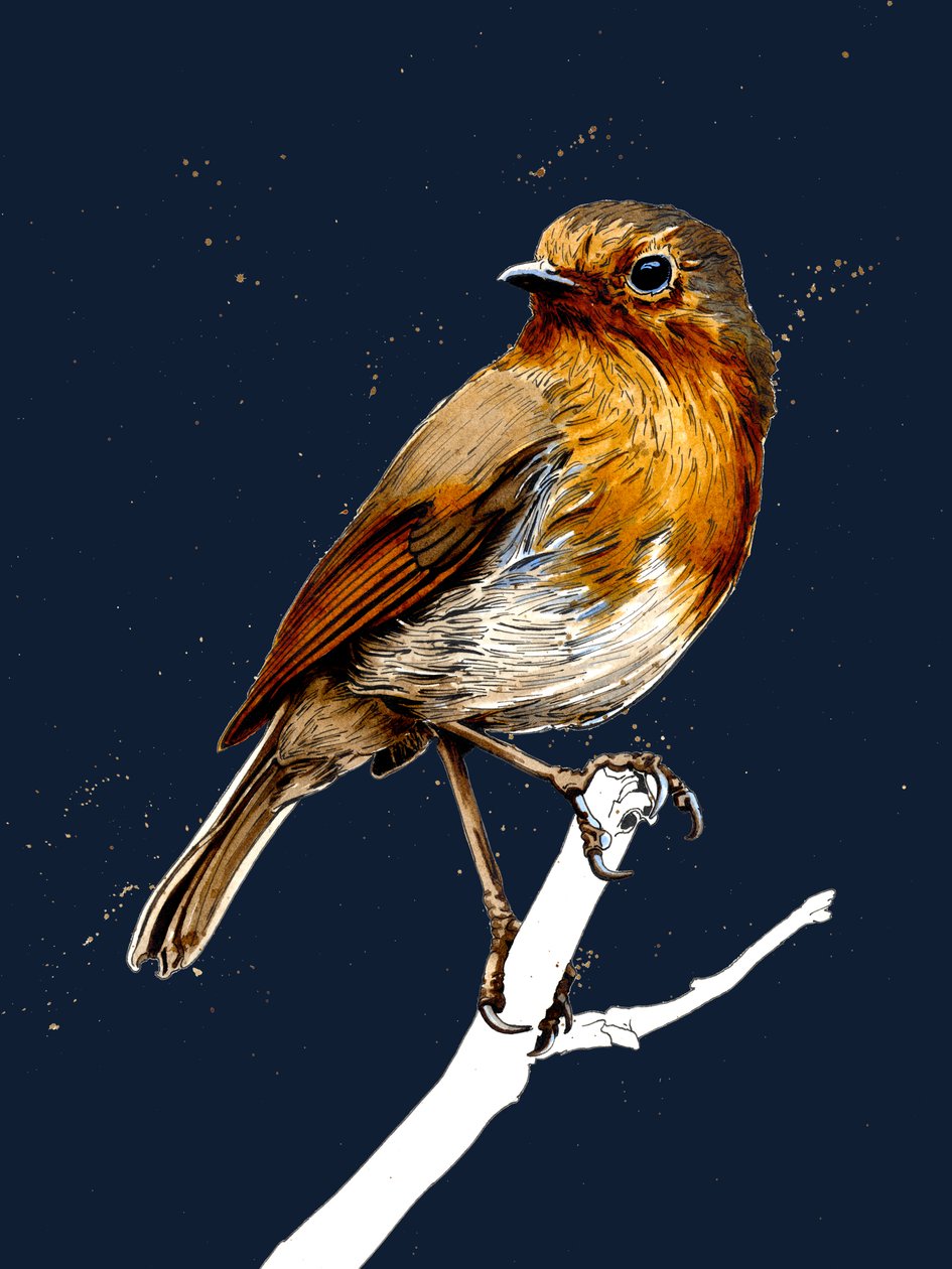 O Robin em Midnight Blue, 2020 de Mike Davis