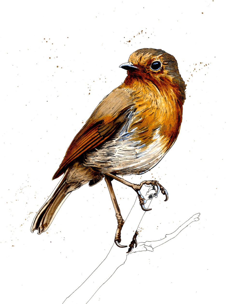 O Robin em Branco, 2019 de Mike Davis