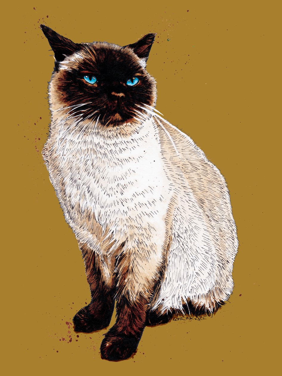 O Gato Siamês no Amarelo Dourado, 2020 de Mike Davis
