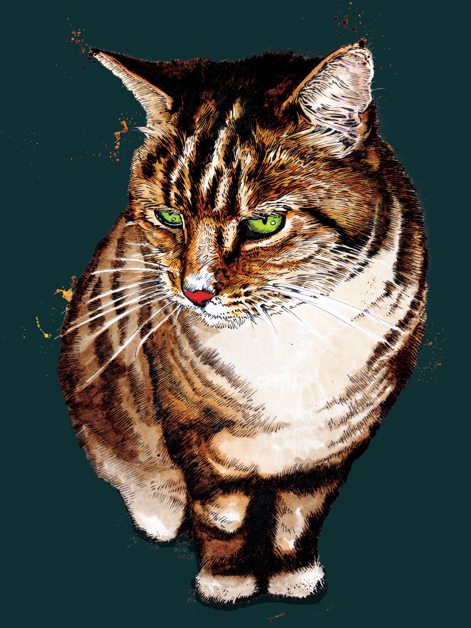 The Tabby Cat on Deep Cyan, 2020 de Mike Davis