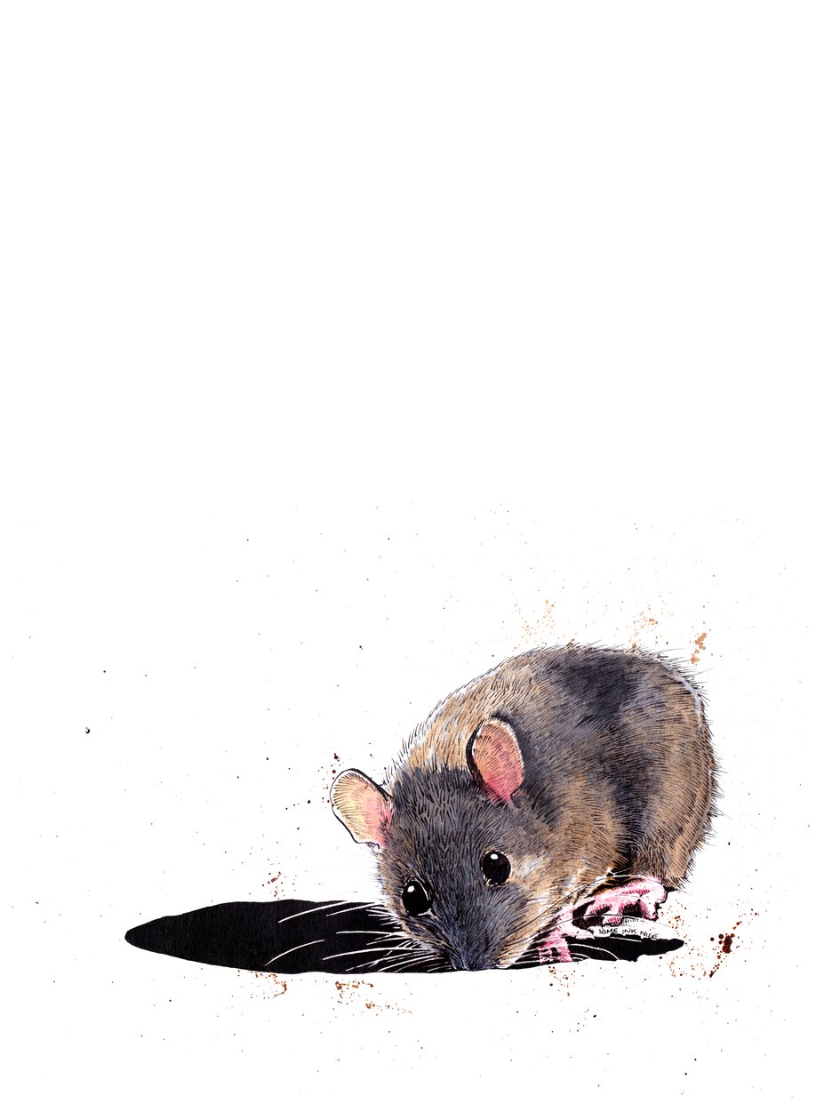 O rato de madeira em branco, 2019 de Mike Davis