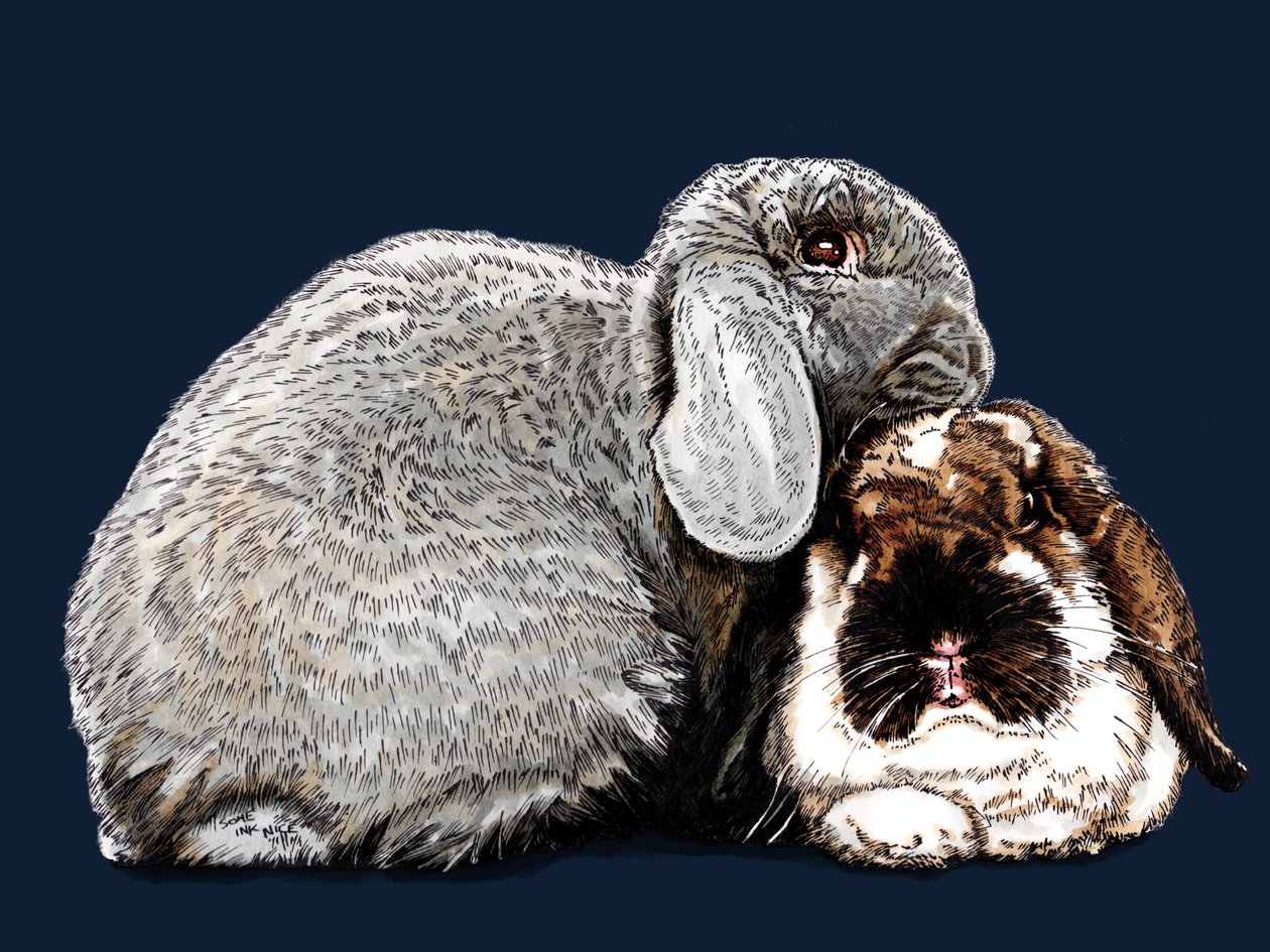 Pensando nos Coelhinhos no Midnight Blue, 2020 de Mike Davis