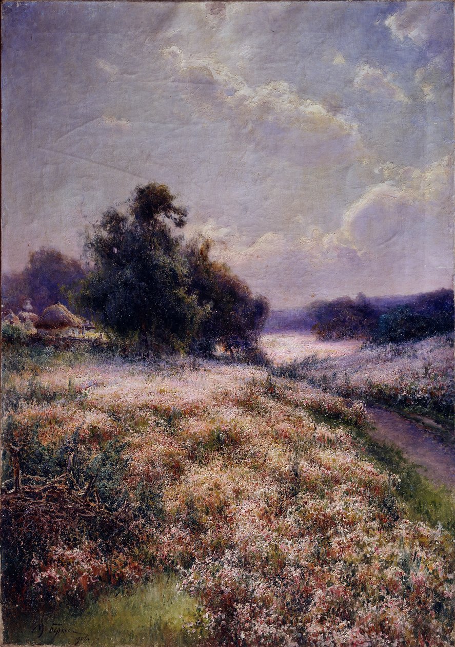 Prado de florescência, 1906 de Mikhail Andreyevich Berkos