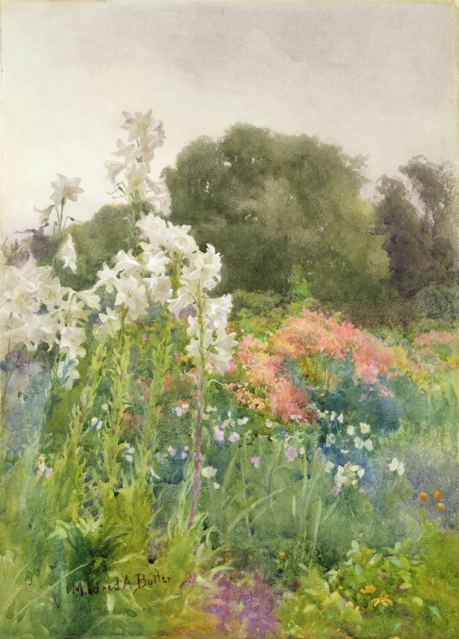 Madonna Lilies (wc no papel) de Mildred Anne Butler