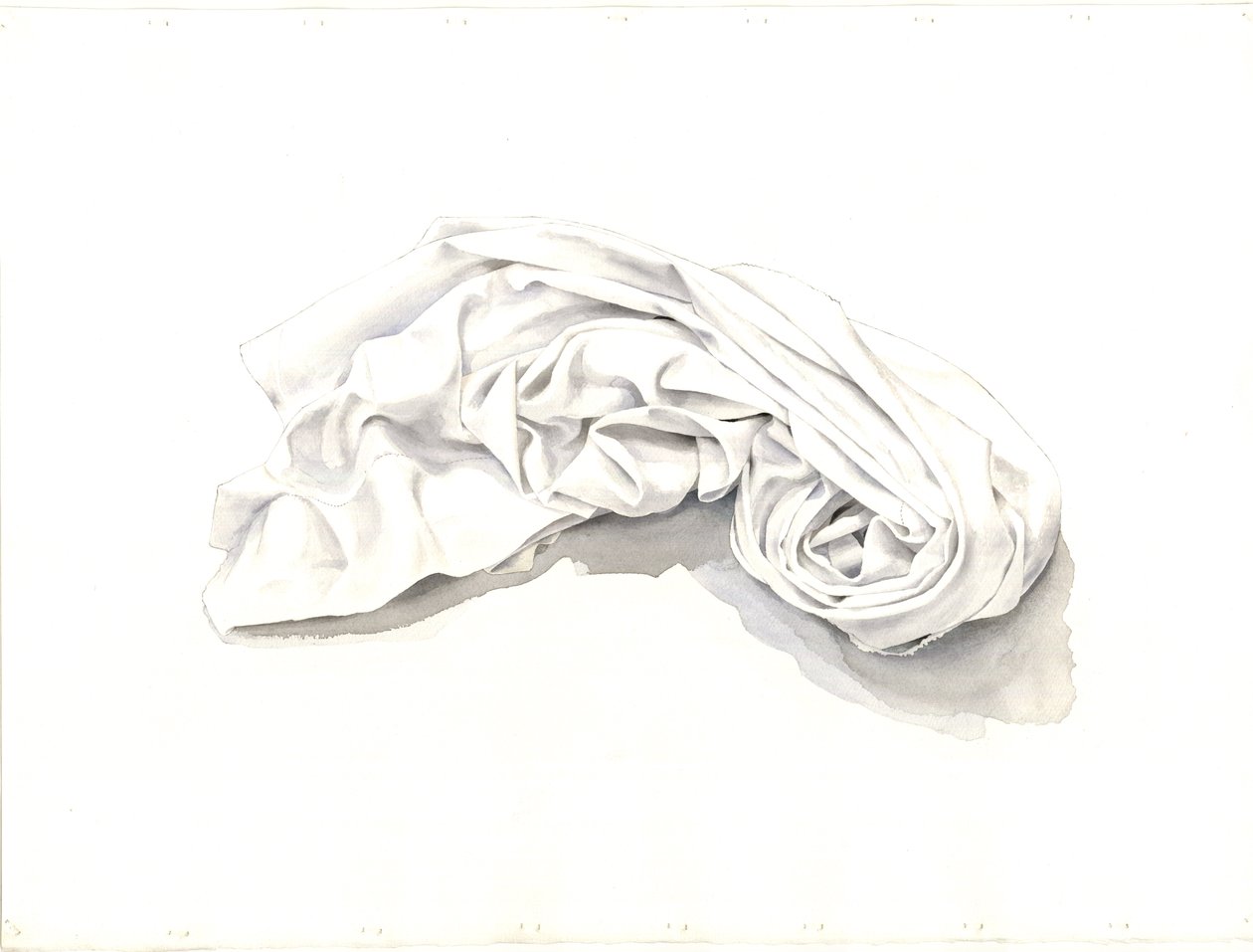 Folha Enrolada, 2004 (wc no papel) de Miles Contemporary Artist Thistlethwaite