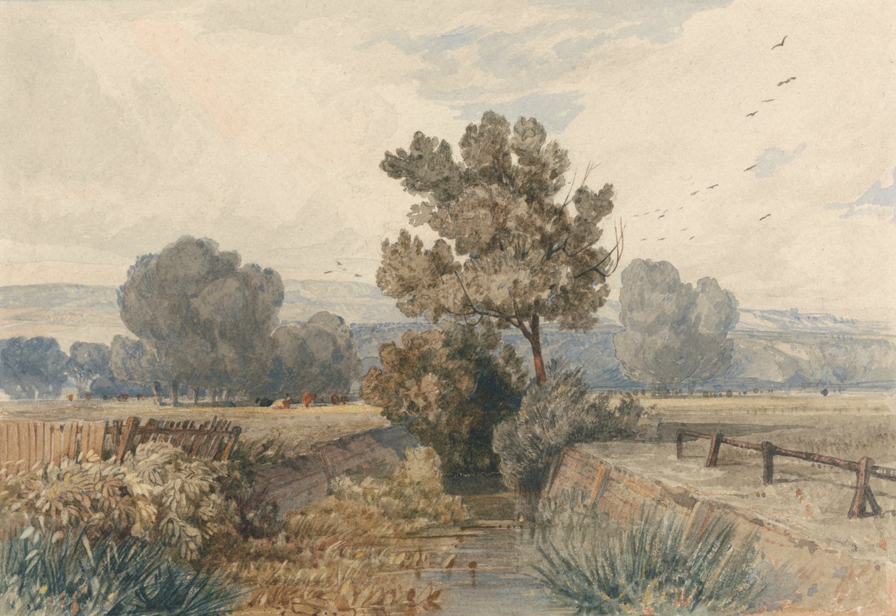 Cena em Elmham, Norfolk de Miles Edmund Cotman