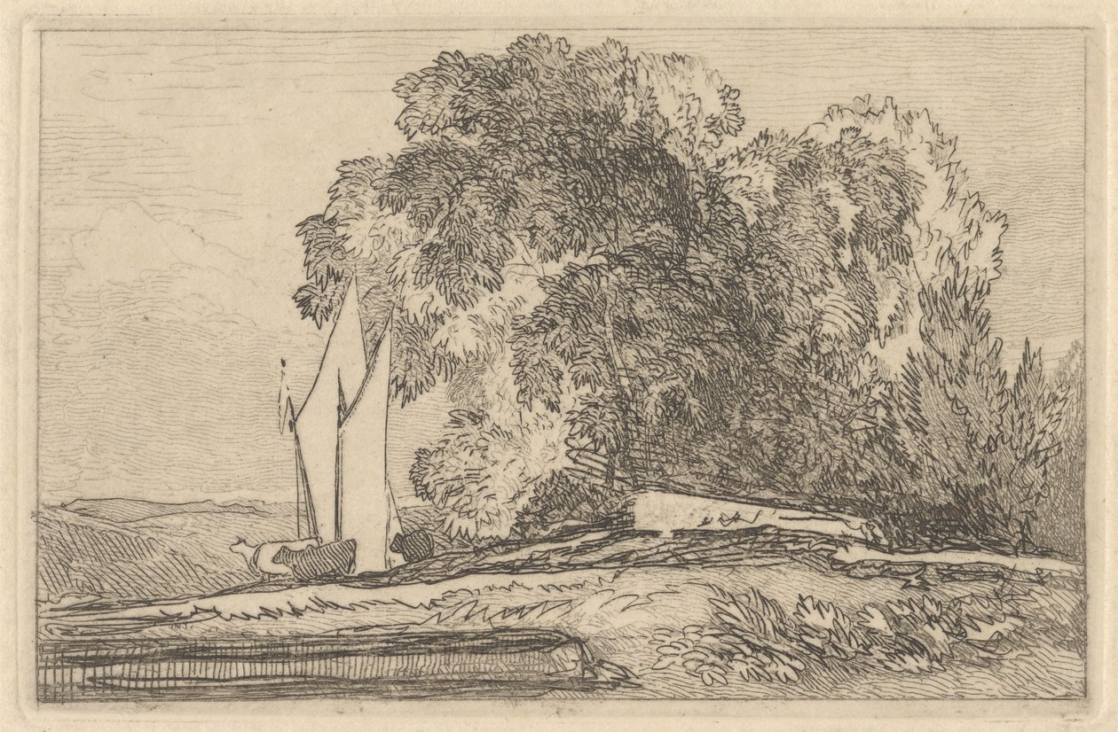 Estudo das árvores nas margens do Yare de Miles Edmund Cotman