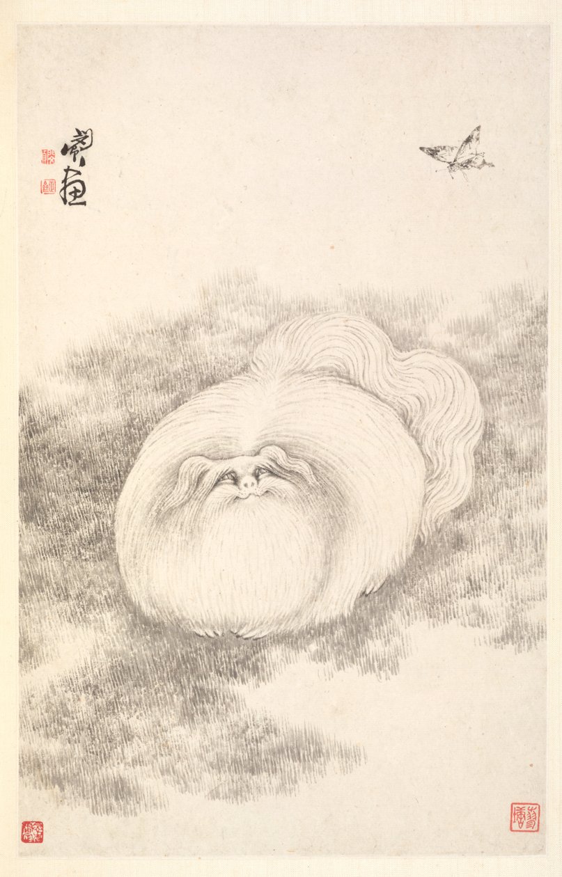 Gato e borboleta, 1788. de Min Zhen
