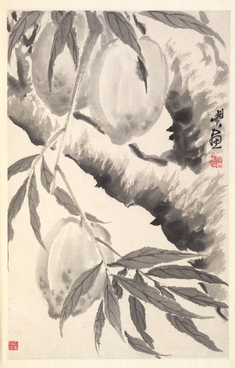 Pêssegos de Min Zhen
