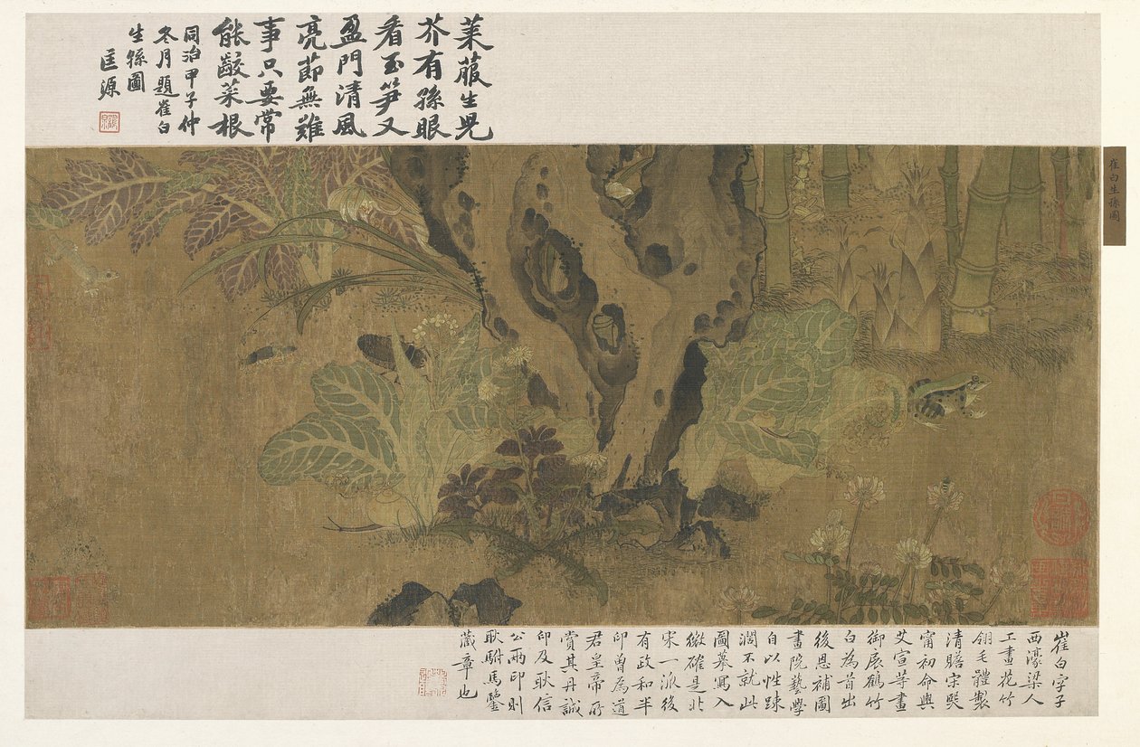 Bambu, sapo e insetos de Ming Dynasty Chinese School