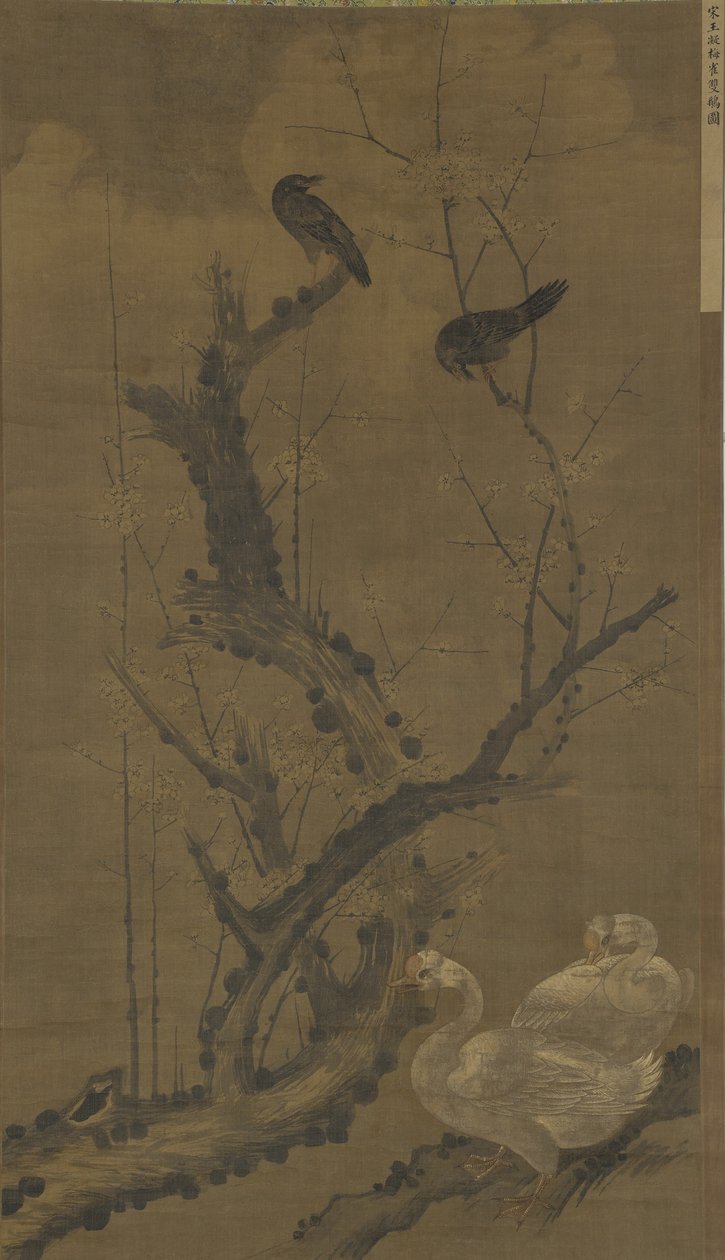 Mynahs, gansos e ameixa florescimento de Ming Dynasty Chinese School