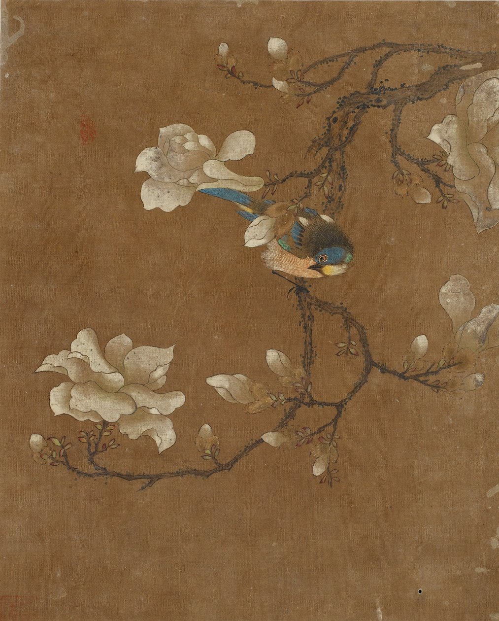 Dez fotos de pássaros e flores (cor de seda) de Ming Dynasty Chinese School