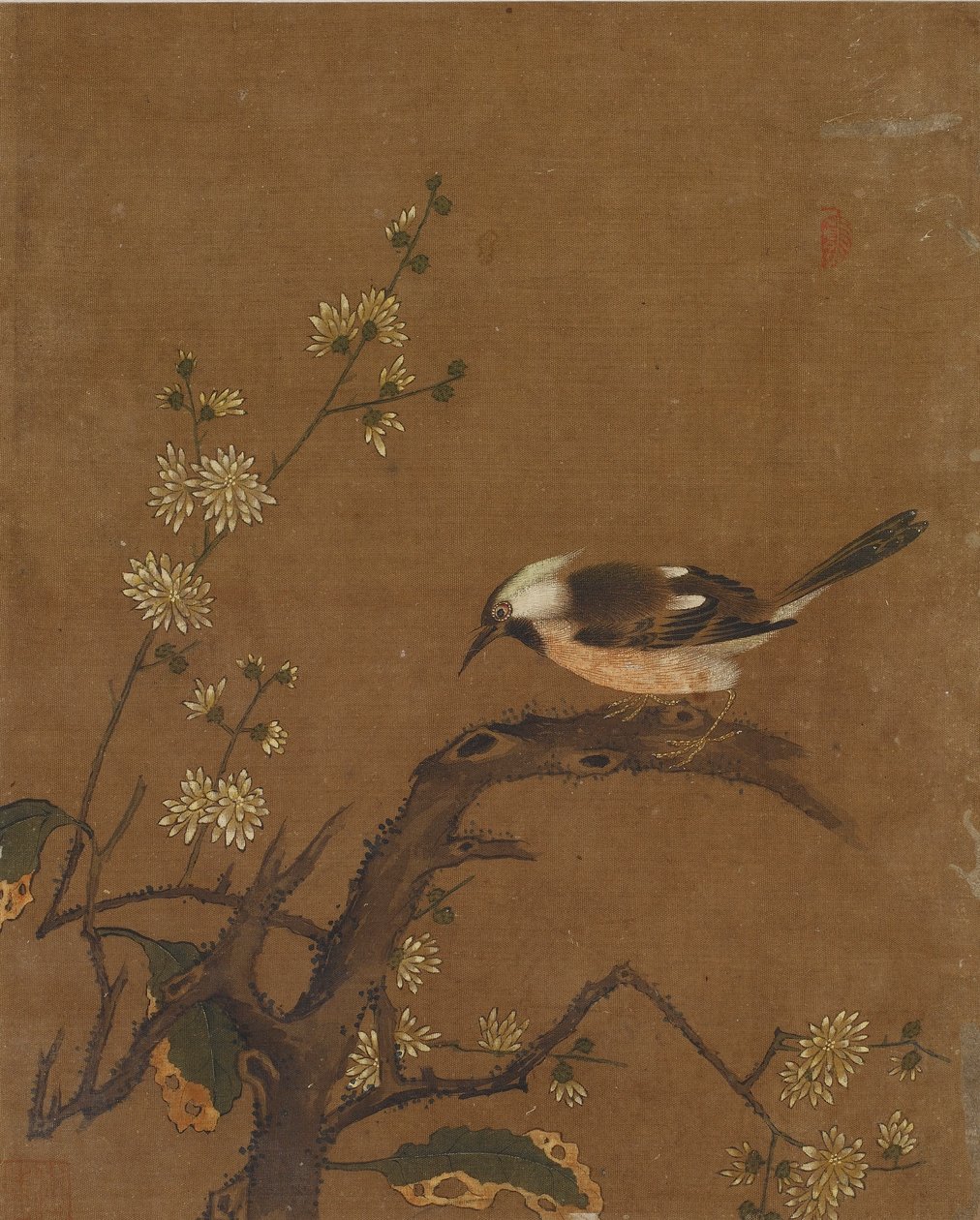 Dez fotos de pássaros e flores (cor de seda) de Ming Dynasty Chinese School