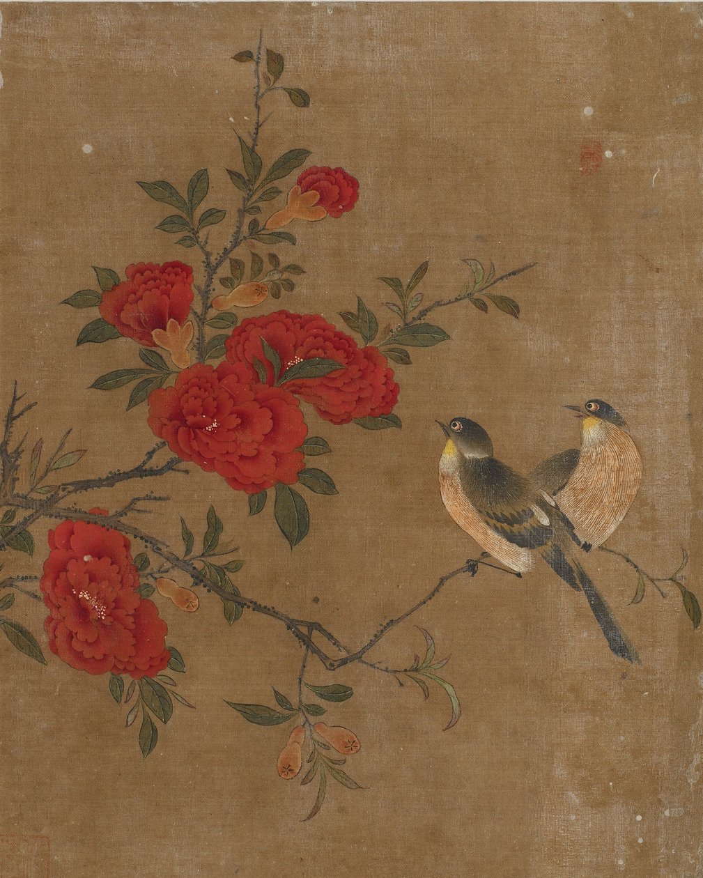 Dez fotos de pássaros e flores (cor de seda) de Ming Dynasty Chinese School