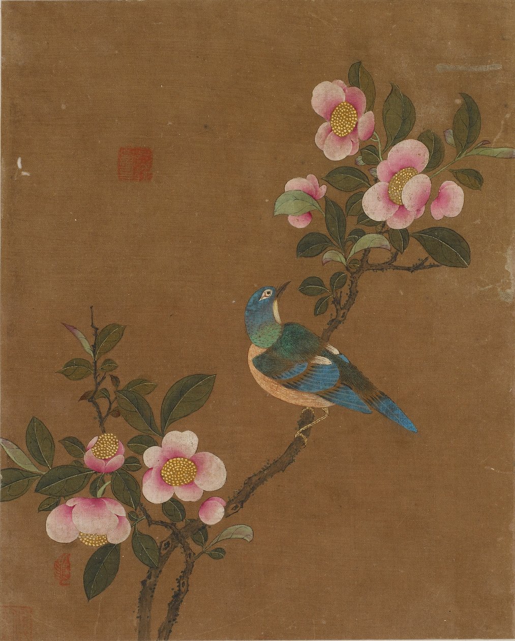 Dez fotos de pássaros e flores (cor de seda) de Ming Dynasty Chinese School