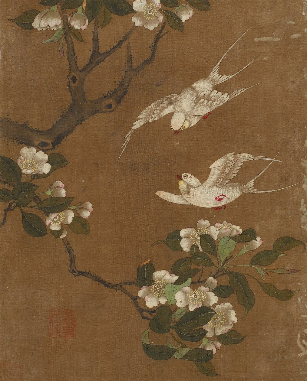 Dez fotos de pássaros e flores (cor de seda) de Ming Dynasty Chinese School