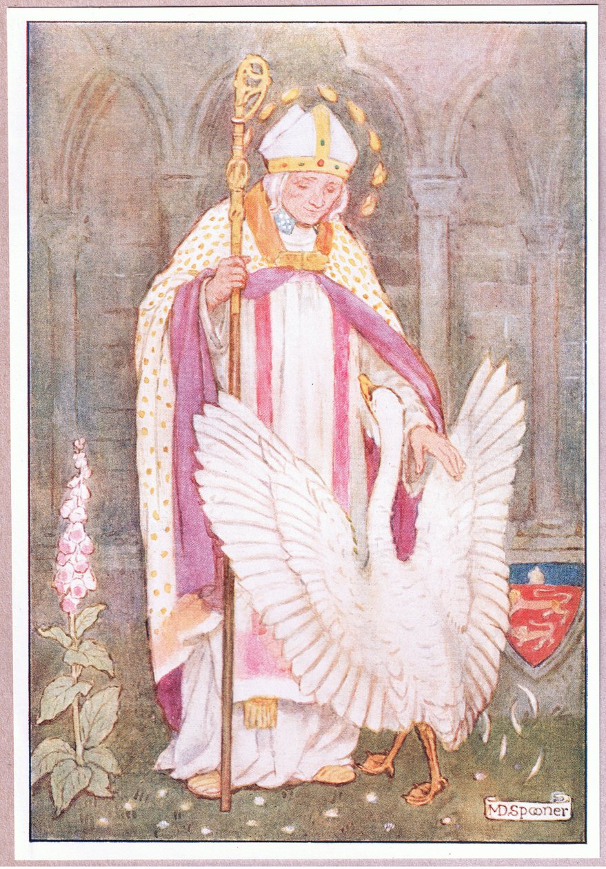 St Hugh e a litografia do cisne branco de Minnie Didbin Spooner