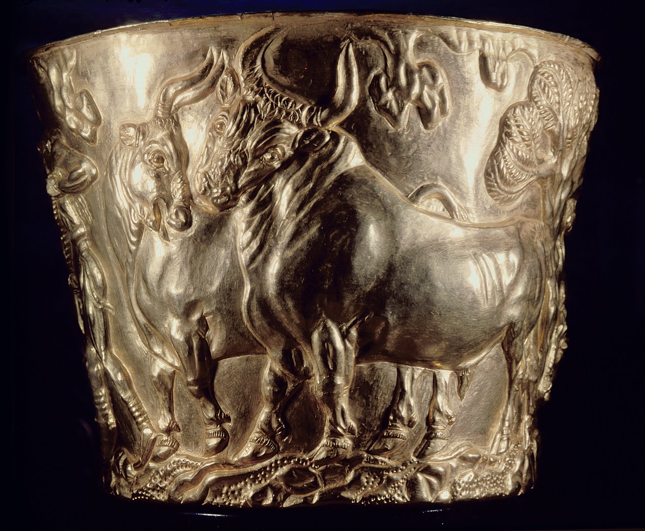 Taça, representando um touro doméstico, encontrado no túmulo real de Vaphio, Esparta, tarde minóica I, c.1500 aC (ouro) (ver também 148825) de Minoan