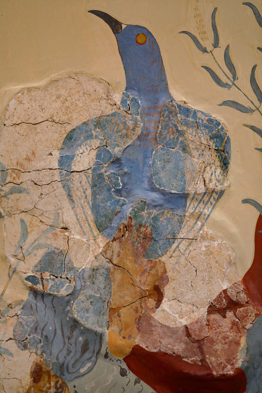 "Pássaro azul" Fresco ou "O pássaro azul de Creta". Knossos de Minoan