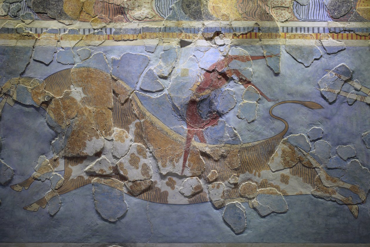 Arte minóica. O "Bull-Leaping" Freso. Cena de saltos de touro retratando como este desporto foi praticado. O fresco foi encontrado no lado leste do palácio de Knossos. de Minoan