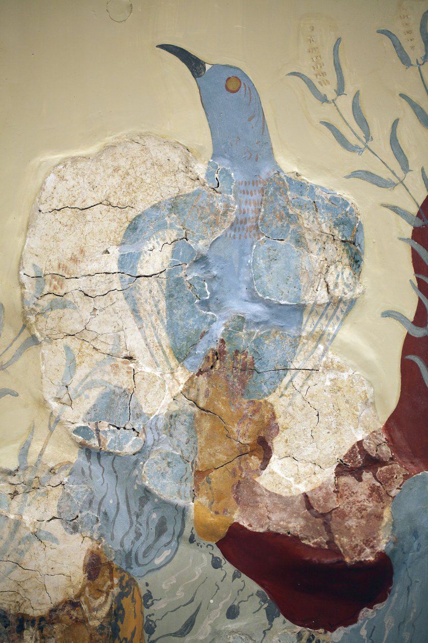 Arte Minoen. Detalhe do "Blue bird" Fresco ou "The blue bird of crete". Uma das primeiras e mais importantes pinturas da chamada ç Casa de Frescoes è em Knossos é a da ç Ave Azul è. É muito fragmentária e certamente bela. de Minoan