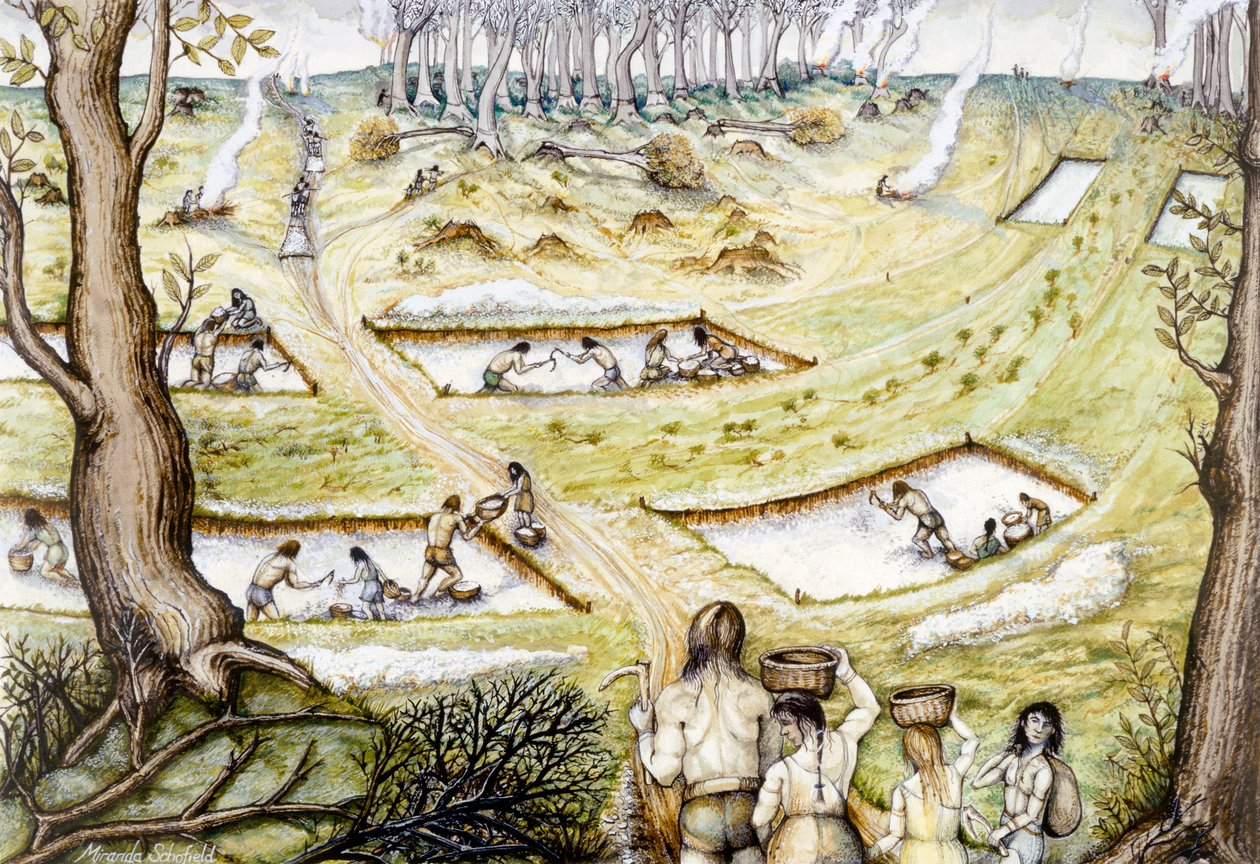 Cavar valas de defesa, século 5 aC, c1990-2010 de Miranda Schofield
