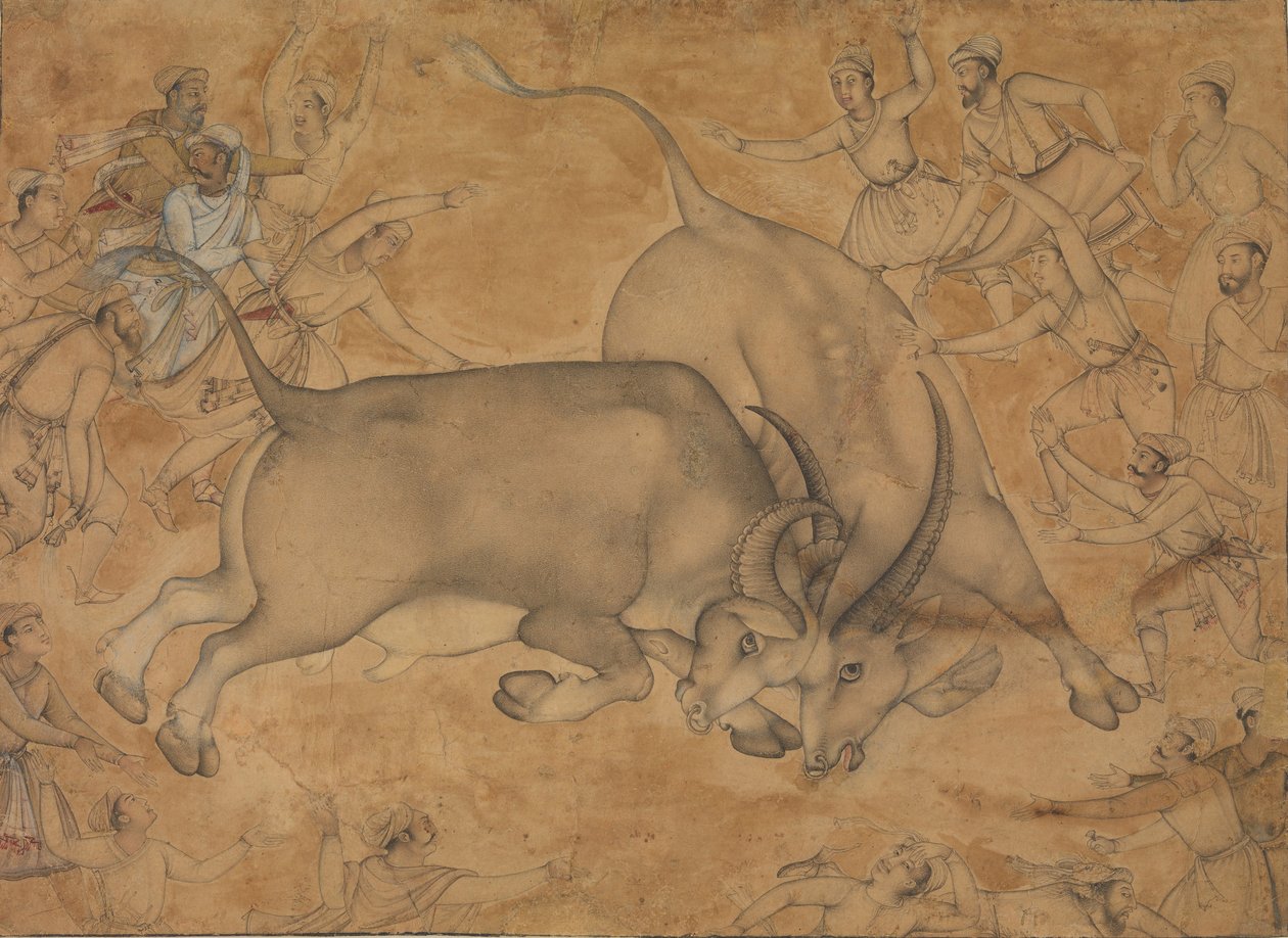 Buffaloes in Combat, finais do século XVI. de Miskin.