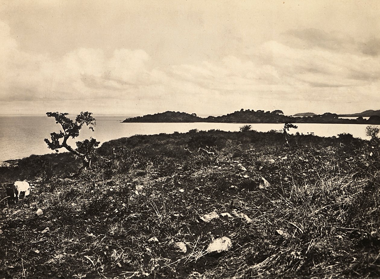 Construir um império na era fascista: O Lago Tana. Etiópia, 09/05/1936 (foto a p/b) de Modestino Baldinetti