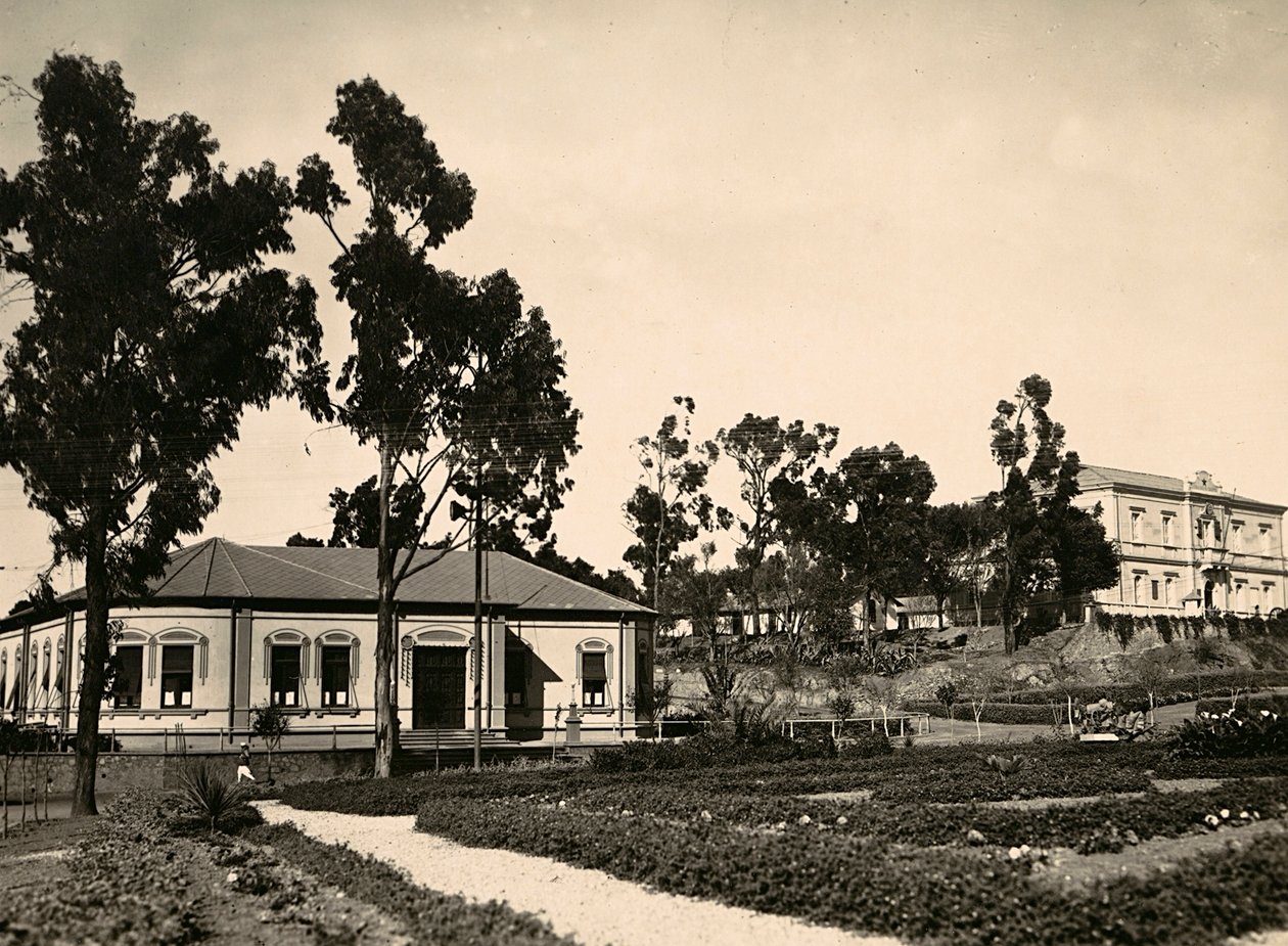 Construir um império na era fascista: círculo de oficiais em Asmara, 09/05/1936 (foto a p/b) de Modestino Baldinetti