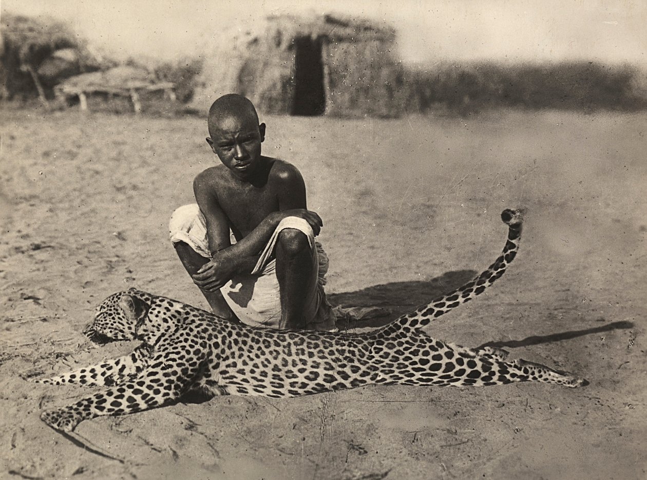 Construir um império na era fascista: indigeno exibindo um leopardo, 09/05/1936 (foto a p/b) de Modestino Baldinetti