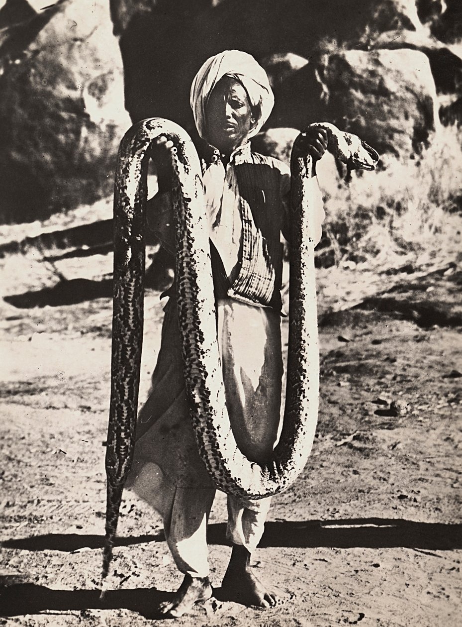 Construir um império na era fascista: indigeno com uma pitão, 09/05/1936 (foto a p/b) de Modestino Baldinetti
