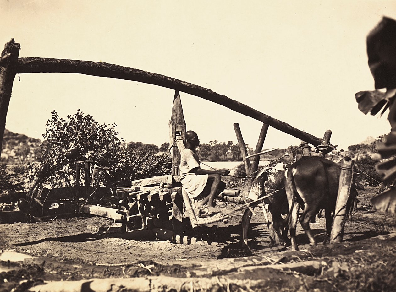 Construir um império na era fascista: os indígenas Noria, 09/05/1936 (foto a p/b) de Modestino Baldinetti