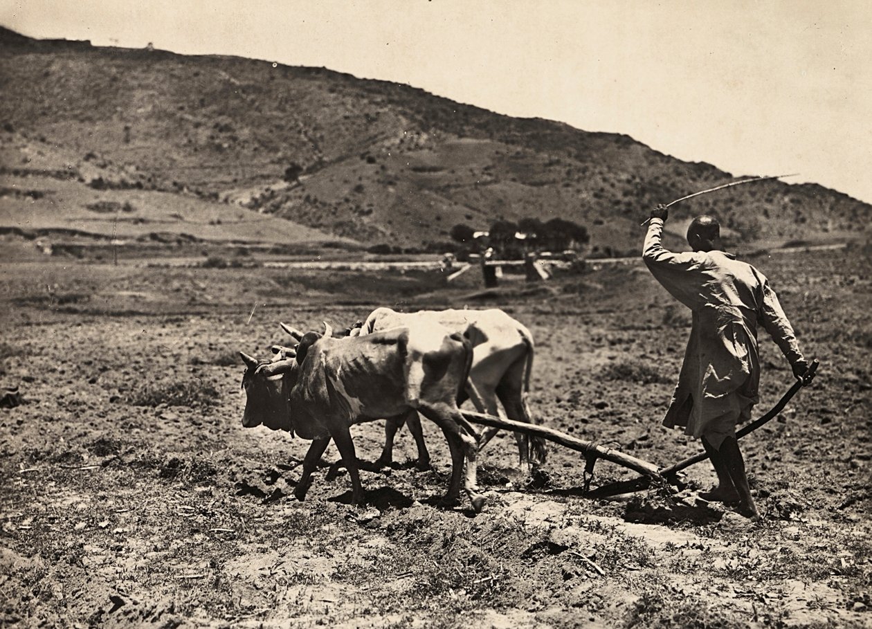 Construir um império na era fascista: aragem no altopiano, 09/05/1936 (foto a p/b) de Modestino Baldinetti