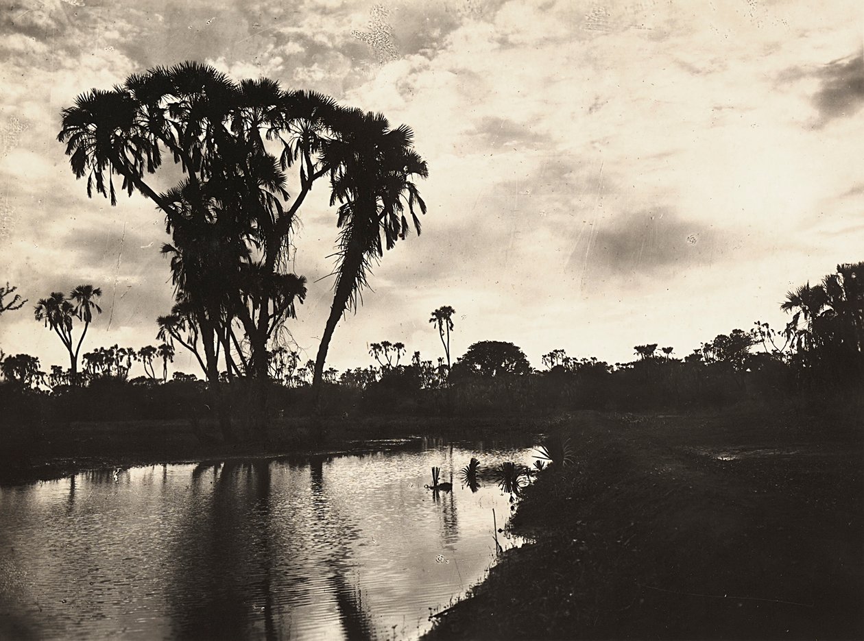 Construir um império na era fascista: planície inferior ocidental, 09/05/1936 (foto a p/b) de Modestino Baldinetti