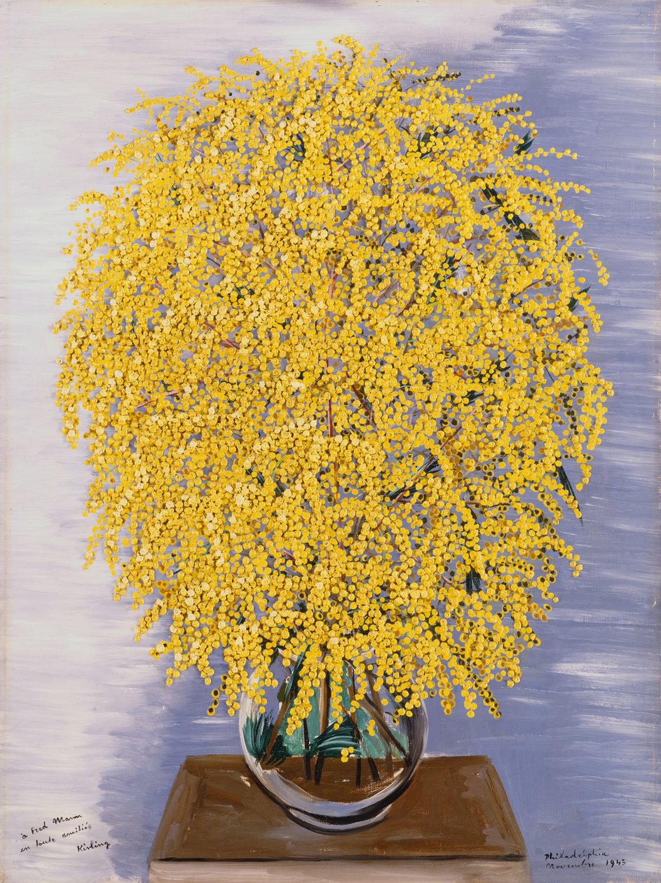 Mimosas de Moise Kisling