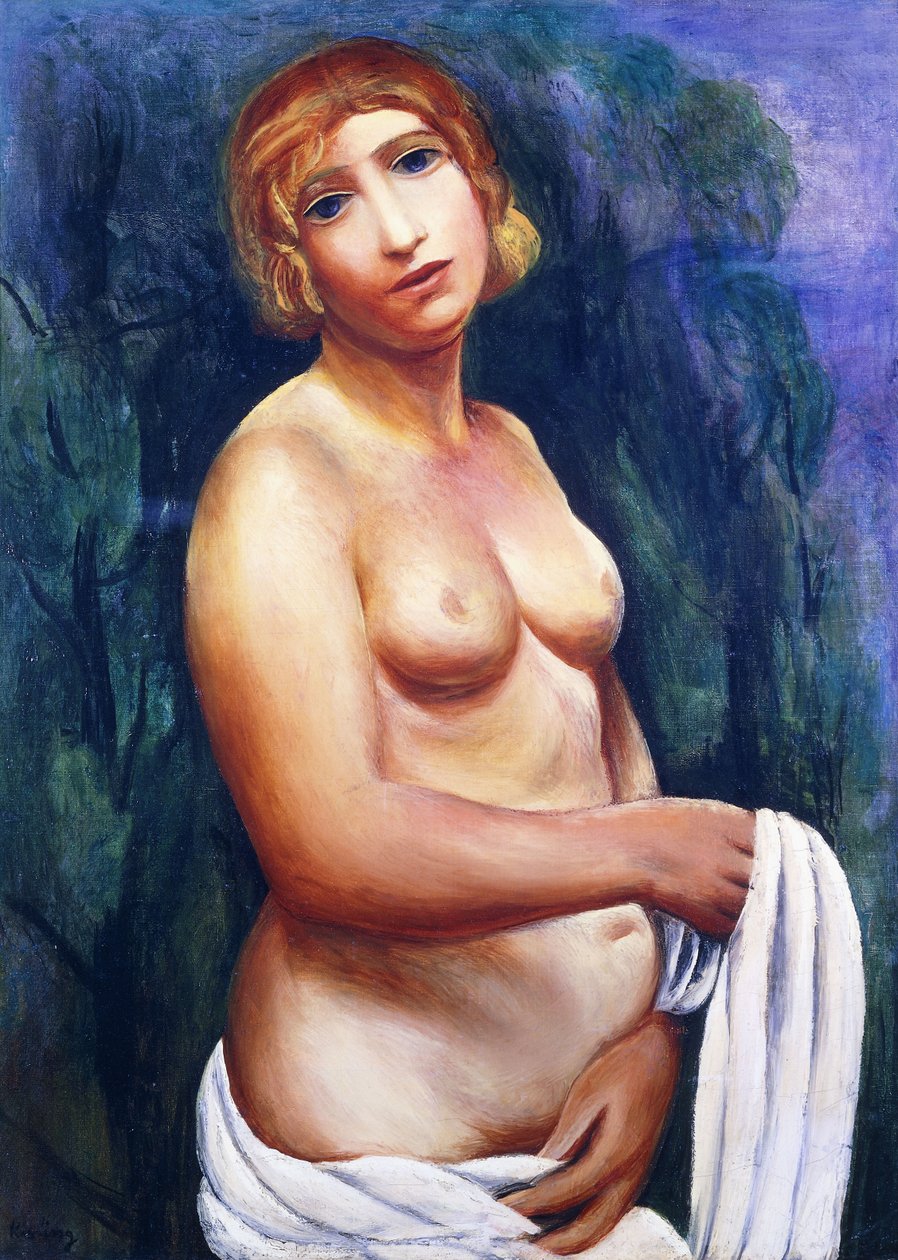 Nu com cortina branca; Nu au drap blanc, século XX (óleo sobre tela, moldura) de Moise Kisling