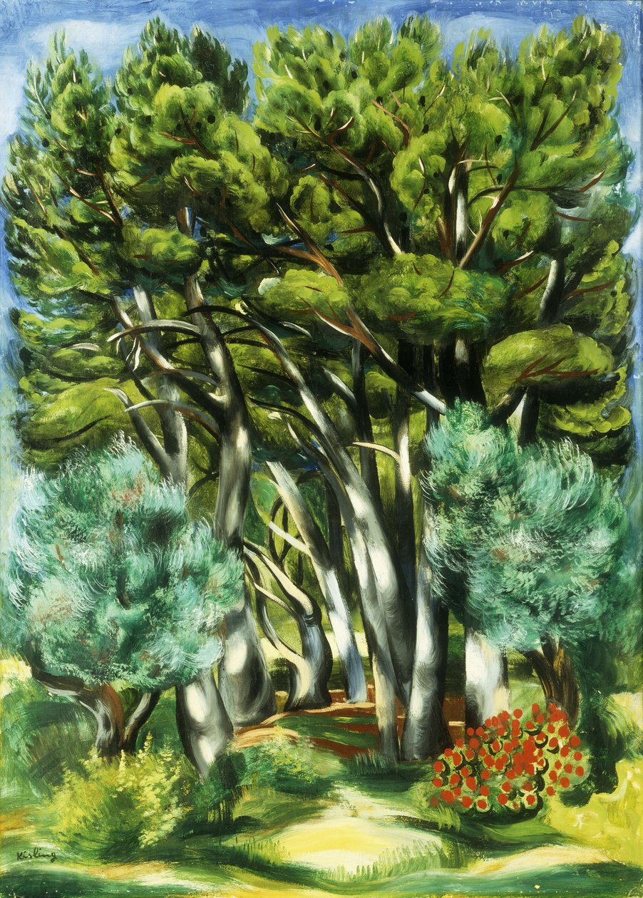 Paisagem de Moise Kisling