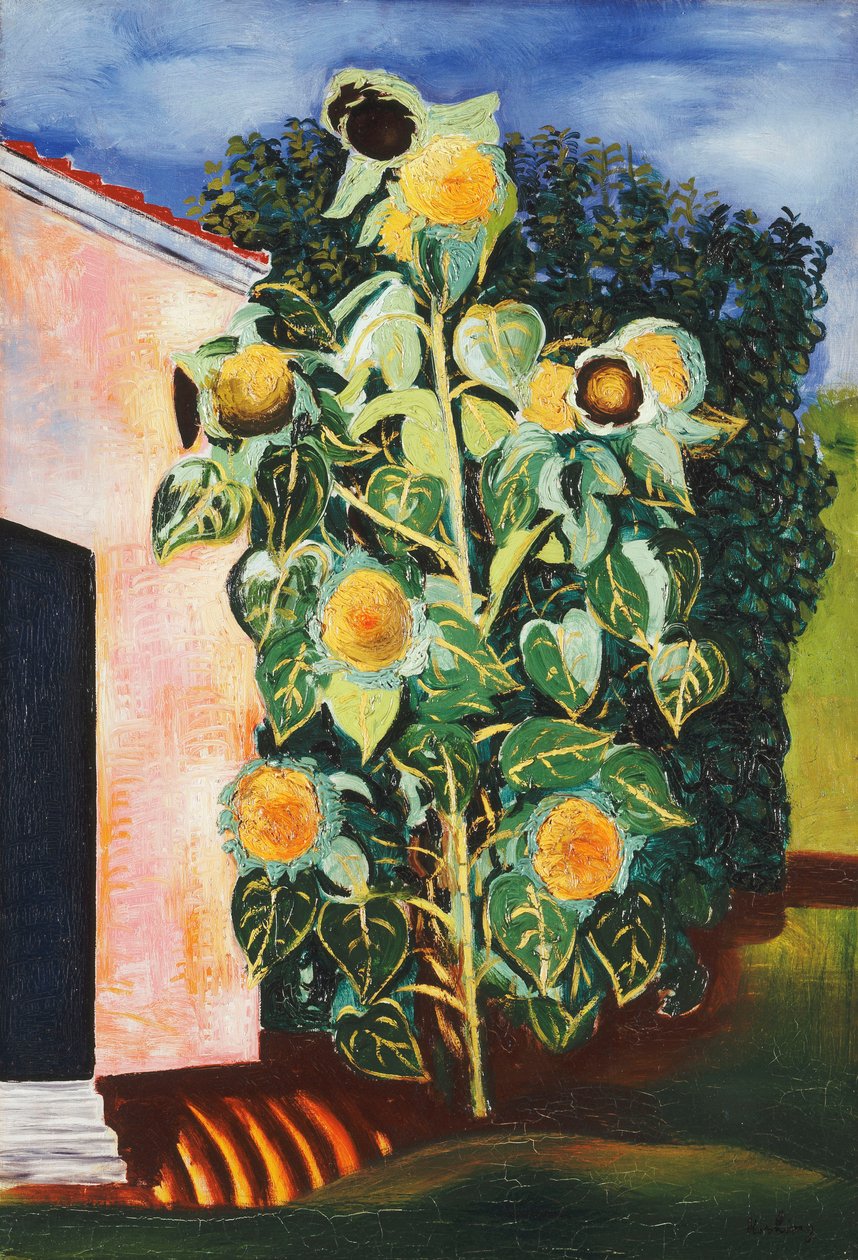 Girassóis; Les Tournesols de Moise Kisling