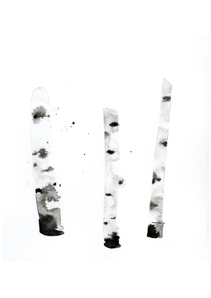 Ghost Birch, 2022 (aguarela sobre papel Langton, 300 g/m², prensado a frio) de Monica Perez Vega