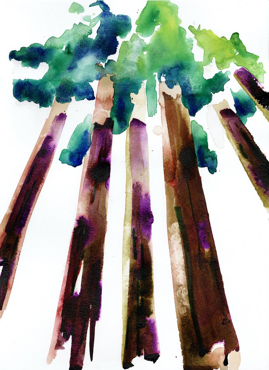 Sequoia, 2021 (aguarela sobre papel Langton, 300 g/m², prensado a frio) de Monica Perez Vega