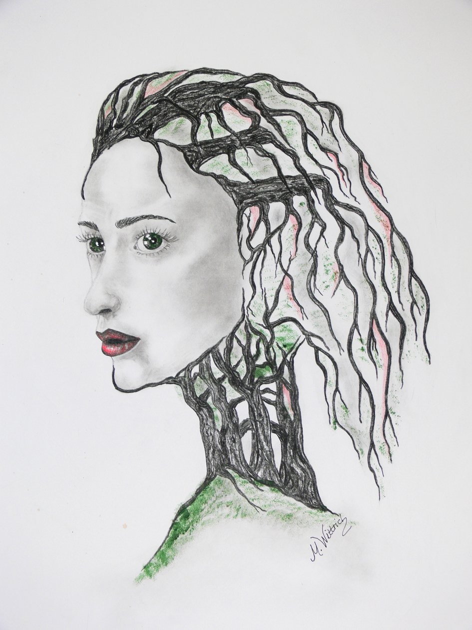 Morte de árvore de Monika Wittrich