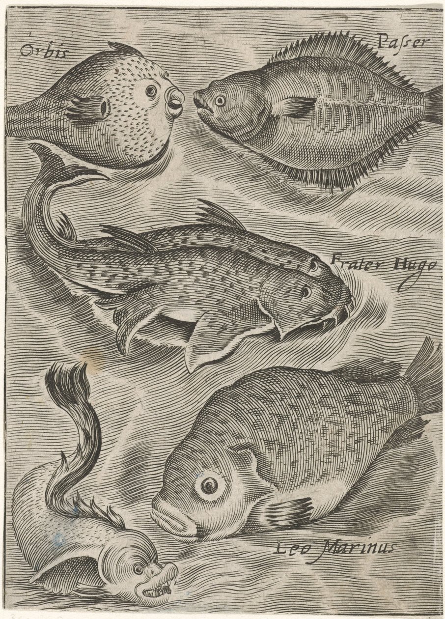Studieblad conheceu de forma diferente Ícones de peixes ao vivo (título da série) de Monogrammist P+P