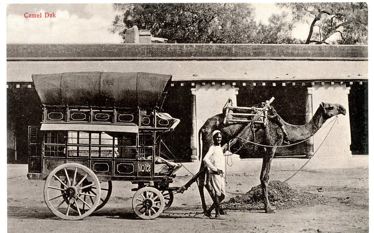 Camel Dak, c.1911-12 (foto sépia) de Moorli Dhur and Sons